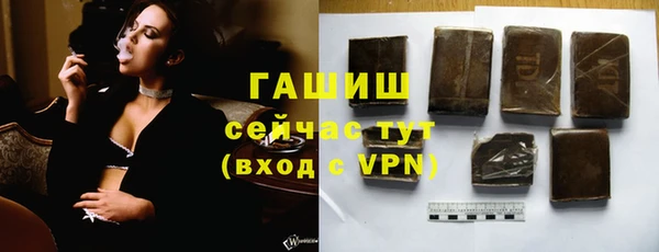 стаф Алзамай