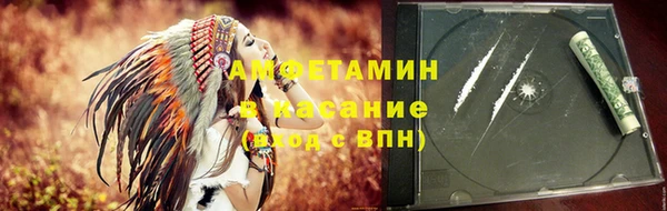 стаф Алзамай