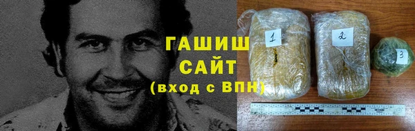 стаф Алзамай